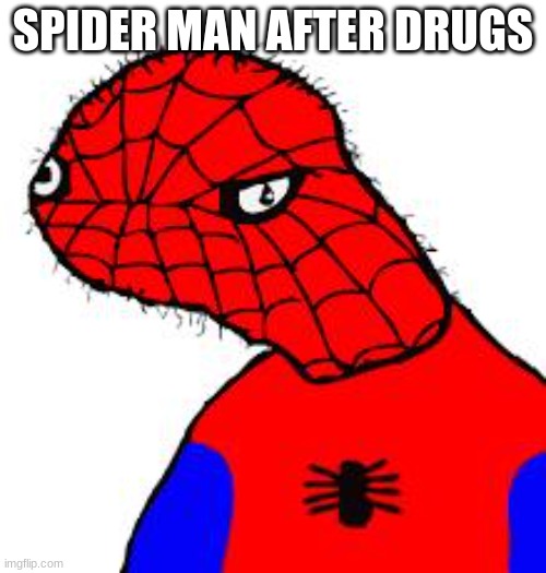 stop the drugs | SPIDER MAN AFTER DRUGS | image tagged in spooderman | made w/ Imgflip meme maker