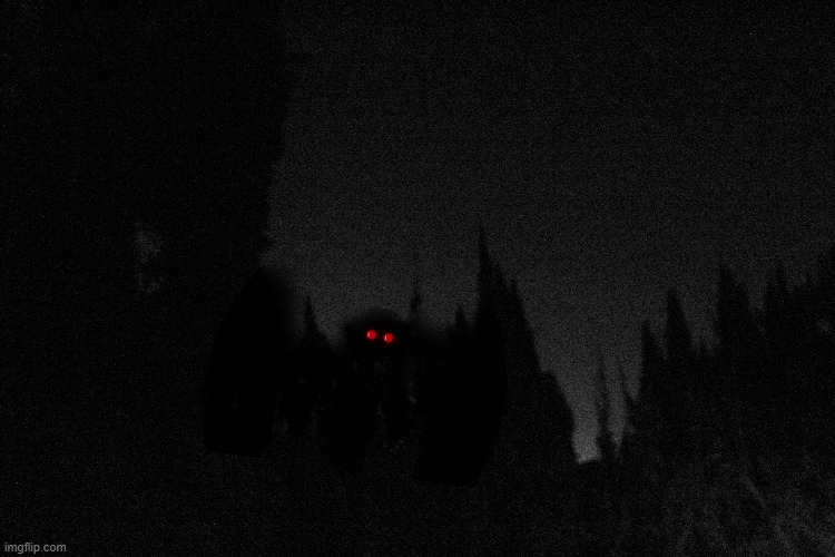 Caught Mothman at th Patio | made w/ Imgflip meme maker