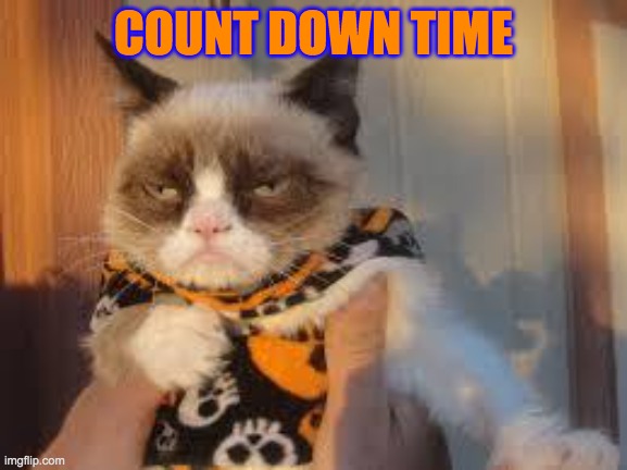 Grumpy Cat Halloween Meme | COUNT DOWN TIME | image tagged in memes,grumpy cat halloween,grumpy cat | made w/ Imgflip meme maker
