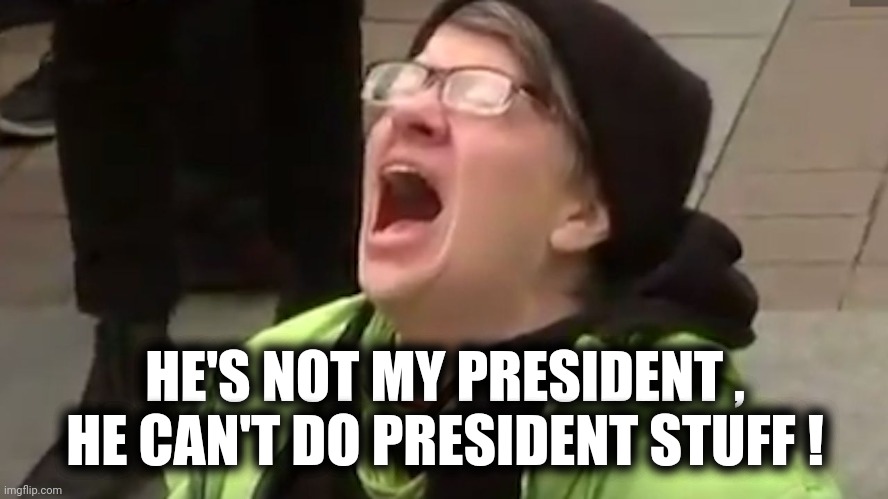 Screaming Liberal  | HE'S NOT MY PRESIDENT ,
HE CAN'T DO PRESIDENT STUFF ! | image tagged in screaming liberal | made w/ Imgflip meme maker