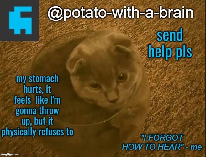 send help pls; my stomach hurts, it feels  like I'm gonna throw up, but it physically refuses to | image tagged in potato-with-a-brain announcement template thx jade_harley | made w/ Imgflip meme maker