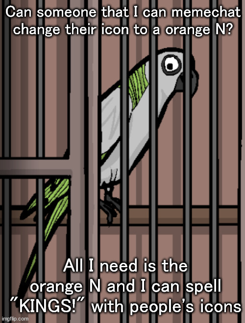 And let me know in comments if you did | Can someone that I can memechat change their icon to a orange N? All I need is the orange N and I can spell "KINGS!" with people's icons | image tagged in bird on crack | made w/ Imgflip meme maker