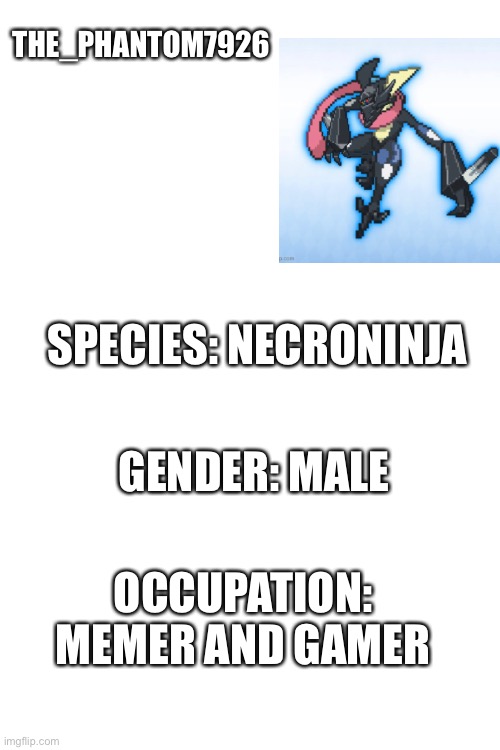 My ID (I had to make one) | THE_PHANTOM7926; SPECIES: NECRONINJA; GENDER: MALE; OCCUPATION: MEMER AND GAMER | image tagged in blank white template | made w/ Imgflip meme maker