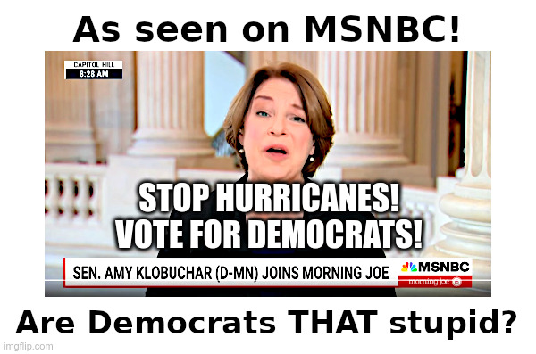 Are Democrats THAT stupid? | image tagged in amy klobuchar,msnbc,democrats,that,stupid | made w/ Imgflip meme maker