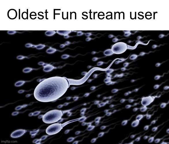 Oldest Fun stream user | image tagged in blank white template,sperm swimming | made w/ Imgflip meme maker