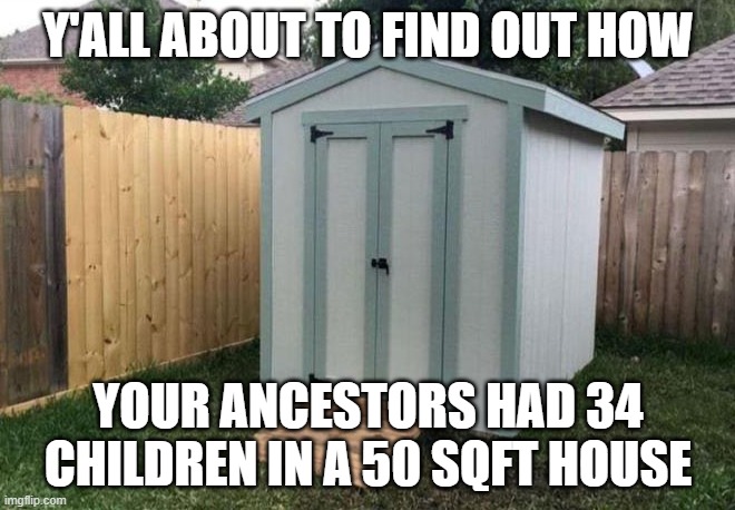 1929 Advice | Y'ALL ABOUT TO FIND OUT HOW; YOUR ANCESTORS HAD 34 CHILDREN IN A 50 SQFT HOUSE | image tagged in shed | made w/ Imgflip meme maker