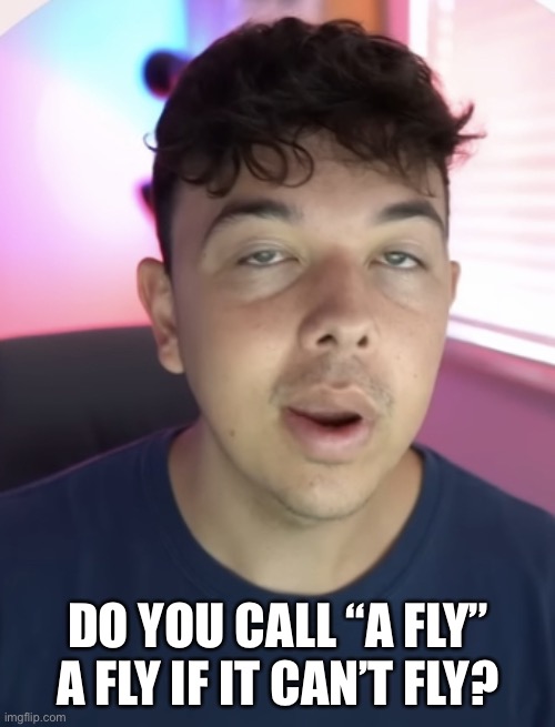 Chad the drunk | DO YOU CALL “A FLY” A FLY IF IT CAN’T FLY? | image tagged in chad the drunk | made w/ Imgflip meme maker