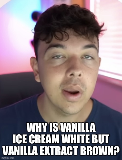 Chad the drunk | WHY IS VANILLA ICE CREAM WHITE BUT VANILLA EXTRACT BROWN? | image tagged in chad the drunk | made w/ Imgflip meme maker