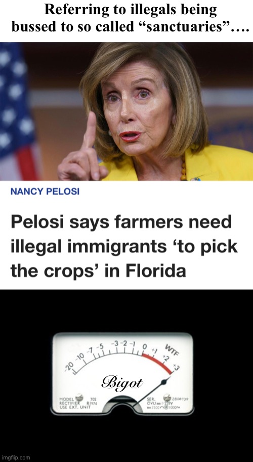 Elitism is a mental disorder | Referring to illegals being bussed to so called “sanctuaries”…. Bigot | image tagged in politics lol,memes,liberal logic | made w/ Imgflip meme maker