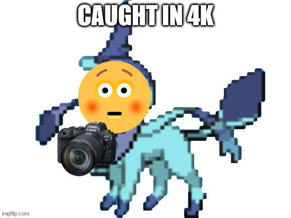 you got caught in 4K by a pokemon! | CAUGHT IN 4K | image tagged in glaveon | made w/ Imgflip meme maker