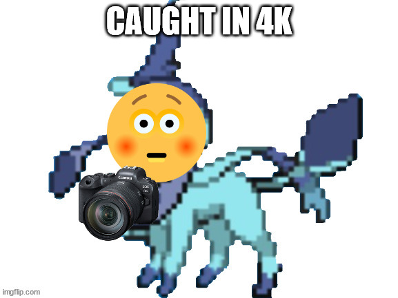 You Got Caught In 4K By A Pokemon Imgflip