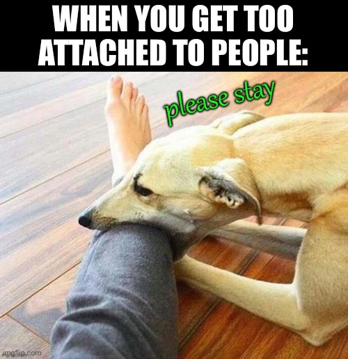Attached | WHEN YOU GET TOO ATTACHED TO PEOPLE: | image tagged in dog,does your dog bite,biting dog,overly attached girlfriend,overly attached boyfriend | made w/ Imgflip meme maker