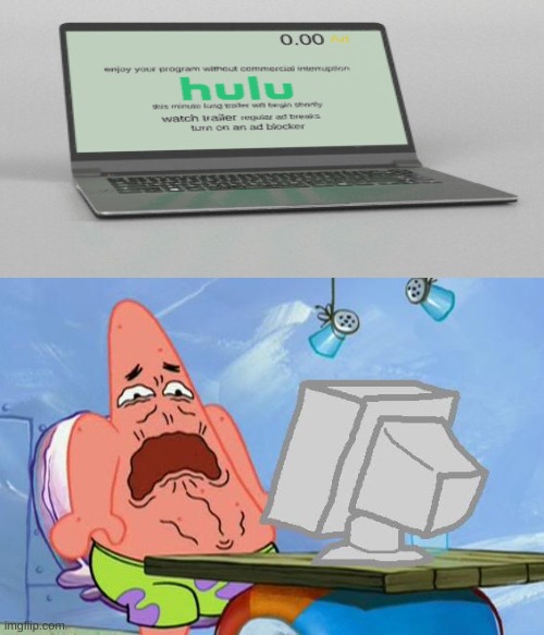 maybe i just turn on adblock instead | image tagged in patrick star internet disgust,memes,hulu,funny memes,adblock,oh wow are you actually reading these tags | made w/ Imgflip meme maker