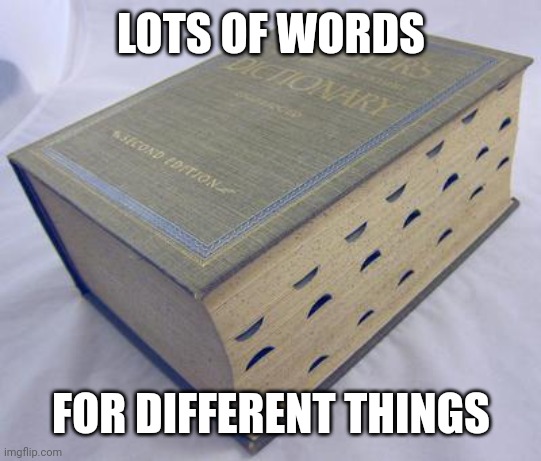 Dictionary | LOTS OF WORDS FOR DIFFERENT THINGS | image tagged in dictionary | made w/ Imgflip meme maker