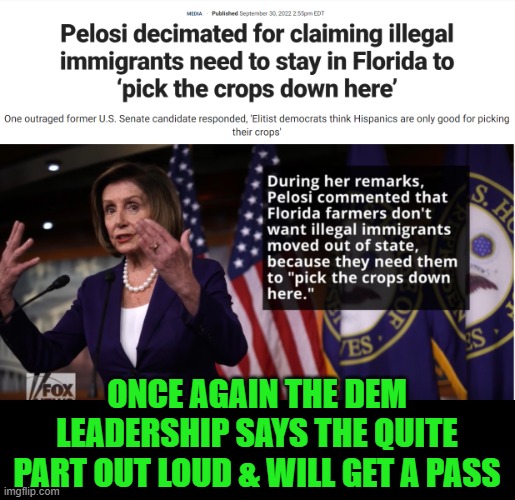 Remember when those Democrats down south were all about keeping another group of people picking crops? | ONCE AGAIN THE DEM LEADERSHIP SAYS THE QUITE PART OUT LOUD & WILL GET A PASS | image tagged in nancy pelosi,racist,democrats,liberal hypocrisy | made w/ Imgflip meme maker