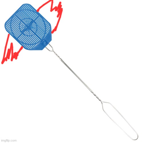 Fly swatter | image tagged in fly swatter | made w/ Imgflip meme maker