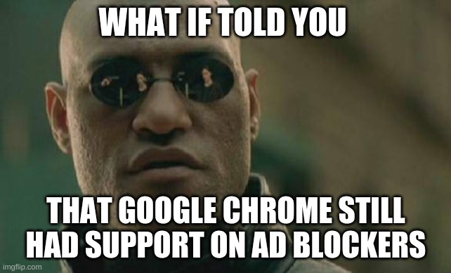 i will miss adblock | WHAT IF TOLD YOU; THAT GOOGLE CHROME STILL HAD SUPPORT ON AD BLOCKERS | image tagged in memes,matrix morpheus,adblock,funny memes,oh wow are you actually reading these tags,google chrome | made w/ Imgflip meme maker