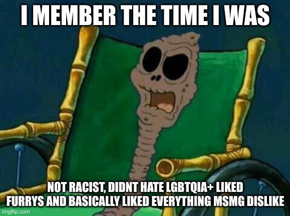 I remember  | I MEMBER THE TIME I WAS; NOT RACIST, DIDNT HATE LGBTQIA+ LIKED FURRYS AND BASICALLY LIKED EVERYTHING MSMG DISLIKE | image tagged in i remember | made w/ Imgflip meme maker