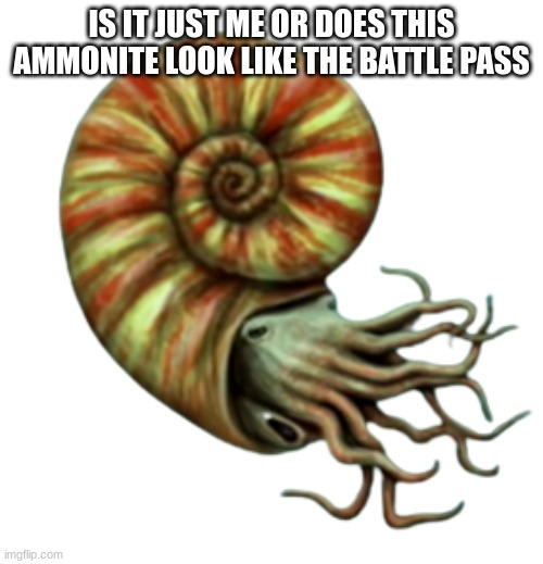 Parapuzosia | IS IT JUST ME OR DOES THIS AMMONITE LOOK LIKE THE BATTLE PASS | image tagged in parapuzosia | made w/ Imgflip meme maker