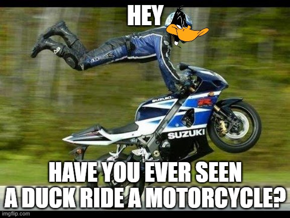 ever seen a duck ride a motorcycle before? | HEY; HAVE YOU EVER SEEN A DUCK RIDE A MOTORCYCLE? | image tagged in motorcycle trick,looney tunes,warner bros,ducks | made w/ Imgflip meme maker