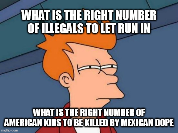 Futurama Fry Meme | WHAT IS THE RIGHT NUMBER OF ILLEGALS TO LET RUN IN; WHAT IS THE RIGHT NUMBER OF AMERICAN KIDS TO BE KILLED BY MEXICAN DOPE | image tagged in memes,futurama fry | made w/ Imgflip meme maker