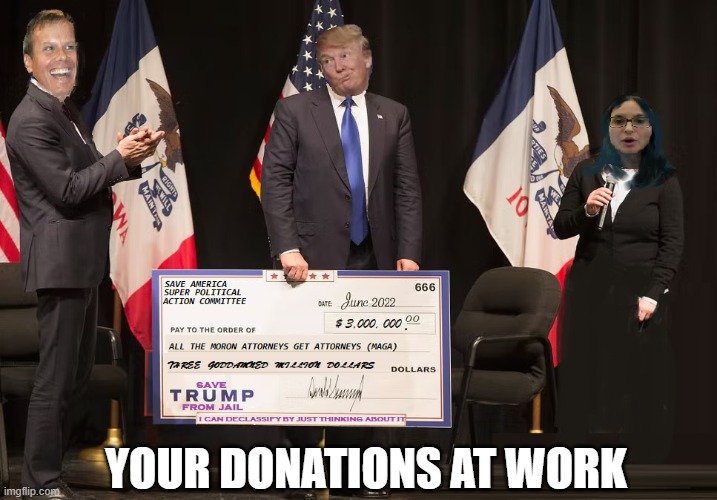 MAGA dollars at work! | YOUR DONATIONS AT WORK | image tagged in maga,crooks,venezuela agent,aileen qanon,trump | made w/ Imgflip meme maker