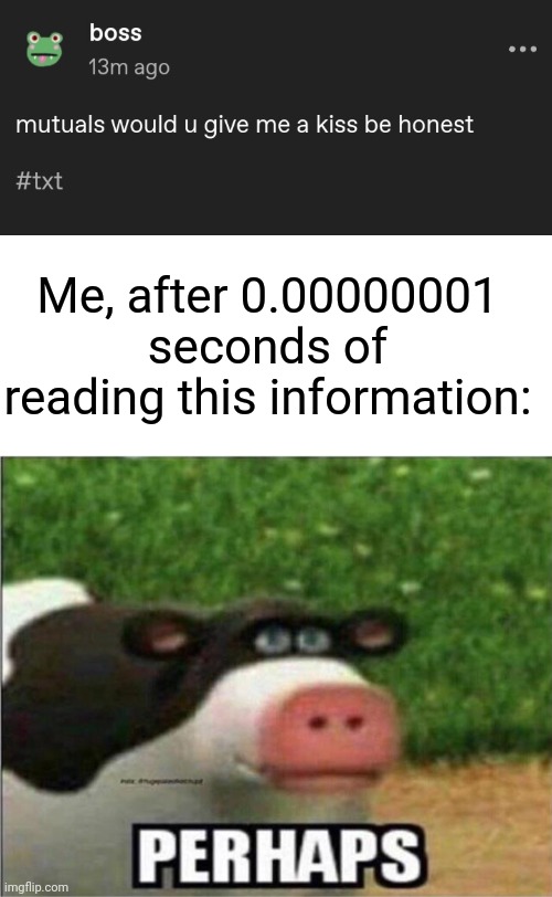 P E R H A P S... | Me, after 0.00000001 seconds of reading this information: | image tagged in perhaps cow | made w/ Imgflip meme maker