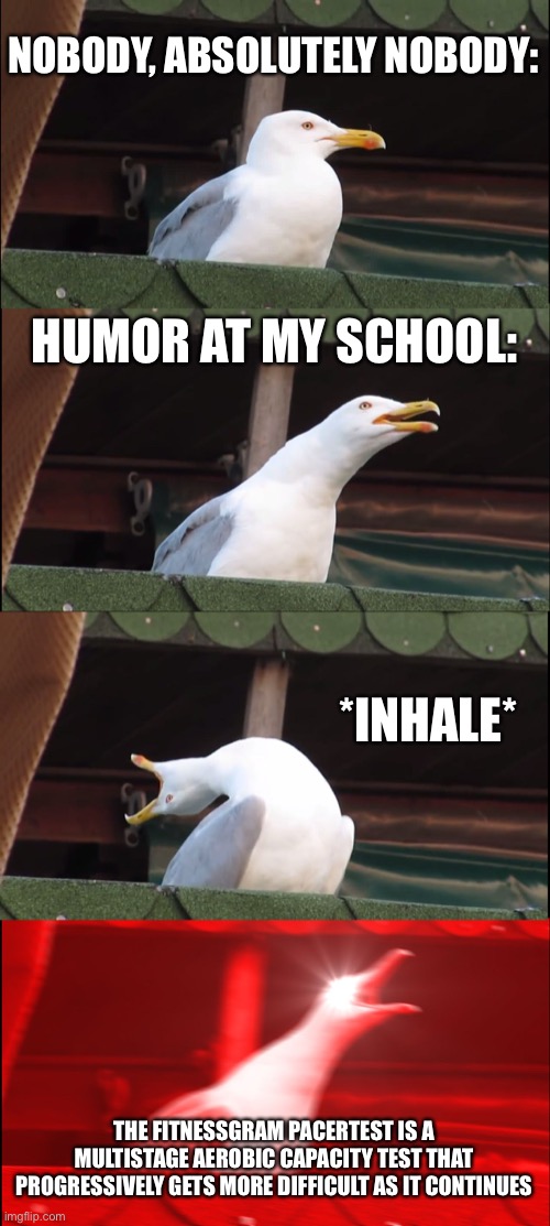No joke haha |  NOBODY, ABSOLUTELY NOBODY:; HUMOR AT MY SCHOOL:; *INHALE*; THE FITNESSGRAM PACERTEST IS A MULTISTAGE AEROBIC CAPACITY TEST THAT PROGRESSIVELY GETS MORE DIFFICULT AS IT CONTINUES | image tagged in memes,inhaling seagull | made w/ Imgflip meme maker
