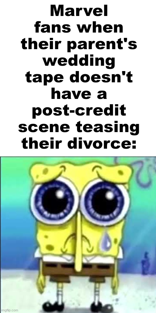 Day Ruined. | Marvel fans when their parent's wedding tape doesn't have a post-credit scene teasing their divorce: | image tagged in sad spongebob,memes | made w/ Imgflip meme maker
