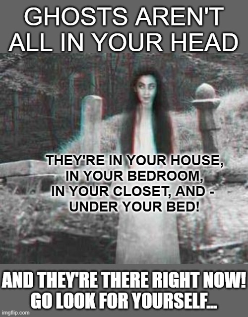 Haunting Grounds | GHOSTS AREN'T ALL IN YOUR HEAD; THEY'RE IN YOUR HOUSE,
IN YOUR BEDROOM,
IN YOUR CLOSET, AND - 
UNDER YOUR BED! AND THEY'RE THERE RIGHT NOW!
GO LOOK FOR YOURSELF... | image tagged in ghost meme,memes,halloween,happy halloween,halloween is coming,ghosts | made w/ Imgflip meme maker