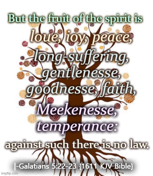 FRUIT IS IT IN YOU SPIRIT | But the fruit of the spirit is; loue, ioy, peace, long-suffering, gentlenesse, goodnesse, faith, Meekenesse, temperance:; against such there is no law. |-Galatians 5:22-23 {1611 KJV Bible} | image tagged in bible,fruits,spirit,meek inherit earth,love | made w/ Imgflip meme maker