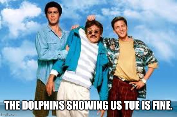 Dolphins meme | THE DOLPHINS SHOWING US TUE IS FINE. | image tagged in miami dolphins,nfl football,football meme,funny memes | made w/ Imgflip meme maker