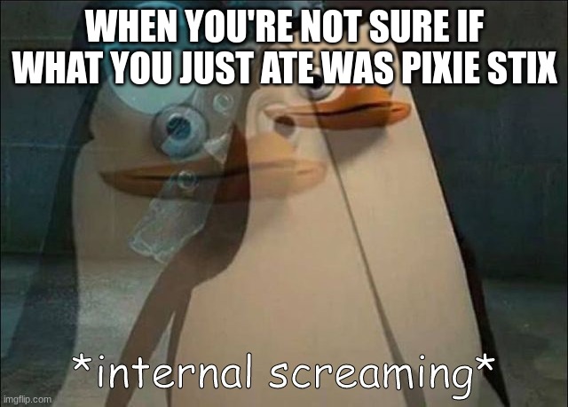 Private Internal Screaming | WHEN YOU'RE NOT SURE IF WHAT YOU JUST ATE WAS PIXIE STIX | image tagged in private internal screaming | made w/ Imgflip meme maker