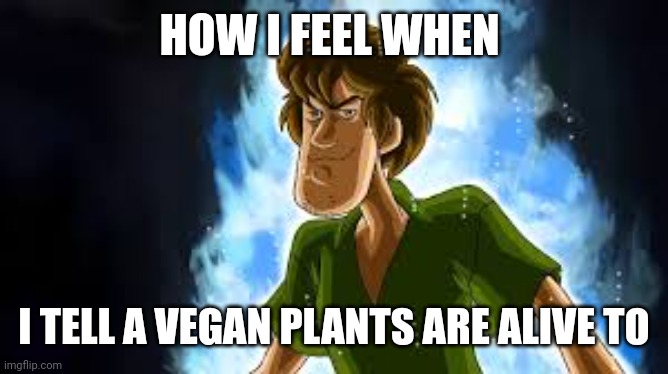 Super San | HOW I FEEL WHEN; I TELL A VEGAN PLANTS ARE ALIVE TO | image tagged in memes | made w/ Imgflip meme maker