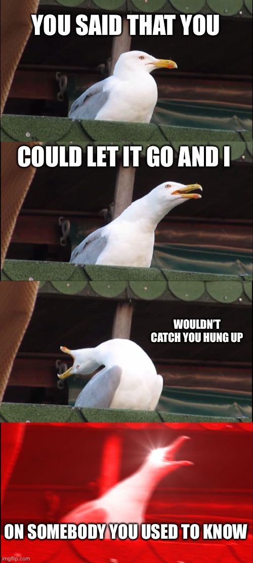 Somebody that I used to know | YOU SAID THAT YOU; COULD LET IT GO AND I; WOULDN’T CATCH YOU HUNG UP; ON SOMEBODY YOU USED TO KNOW | image tagged in memes,inhaling seagull | made w/ Imgflip meme maker