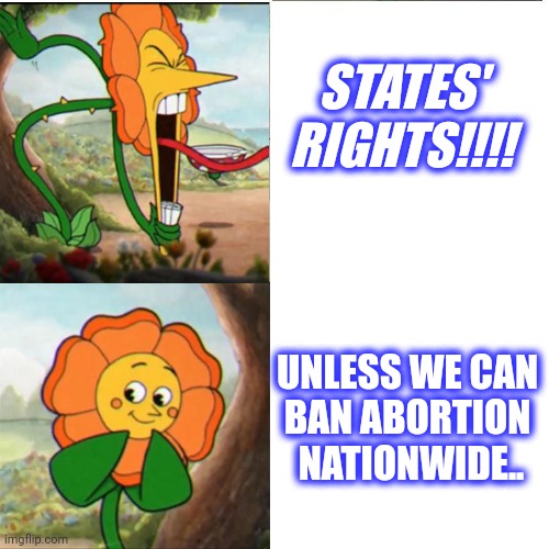 Cuphead Flower | STATES' RIGHTS!!!! UNLESS WE CAN 
BAN ABORTION 
NATIONWIDE.. | image tagged in cuphead flower | made w/ Imgflip meme maker
