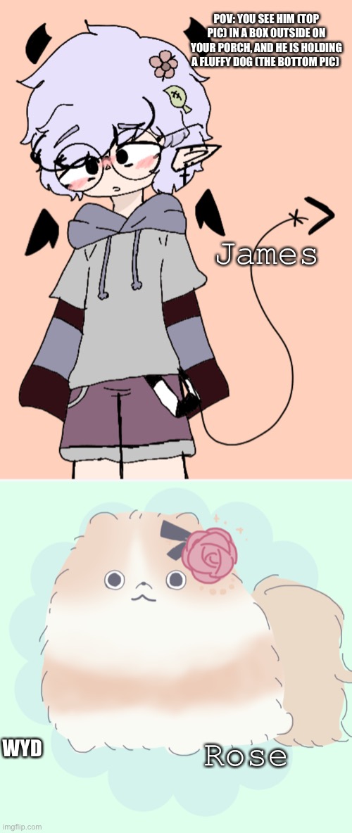 Uhm- I don’t even know- ;-; | POV: YOU SEE HIM (TOP PIC) IN A BOX OUTSIDE ON YOUR PORCH, AND HE IS HOLDING A FLUFFY DOG (THE BOTTOM PIC); James; Rose; WYD | made w/ Imgflip meme maker
