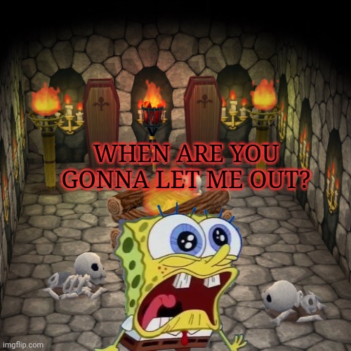 Animal crossing basement | WHEN ARE YOU GONNA LET ME OUT? | image tagged in animal crossing basement | made w/ Imgflip meme maker