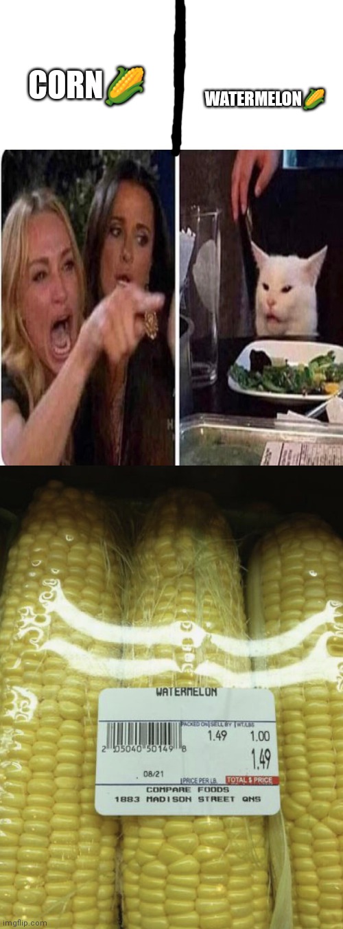 WATERMELON🌽; CORN🌽 | image tagged in corn as watermelon | made w/ Imgflip meme maker