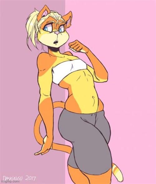 Femboy furry | image tagged in femboy furry | made w/ Imgflip meme maker