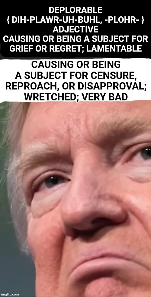 His Definition | DEPLORABLE
{ DIH-PLAWR-UH-BUHL, -PLOHR- }
ADJECTIVE
CAUSING OR BEING A SUBJECT FOR GRIEF OR REGRET; LAMENTABLE; CAUSING OR BEING A SUBJECT FOR CENSURE, REPROACH, OR DISAPPROVAL; WRETCHED; VERY BAD | image tagged in memes,deplorable,deplorable donald,disgusting,lock him up,loser | made w/ Imgflip meme maker