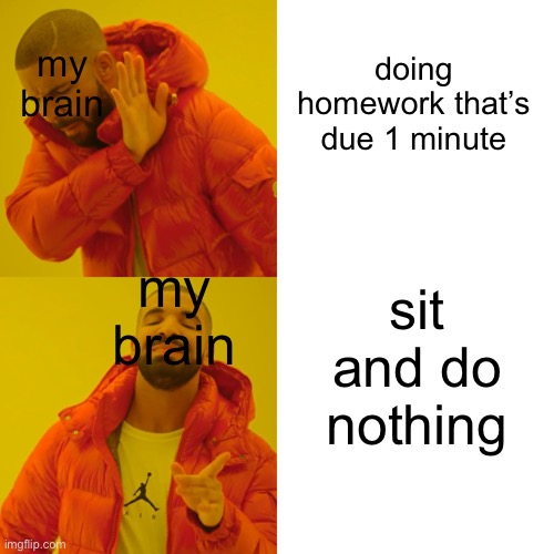 brain you failed me | my brain; doing homework that’s due 1 minute; my brain; sit and do nothing | image tagged in memes,drake hotline bling,brain | made w/ Imgflip meme maker