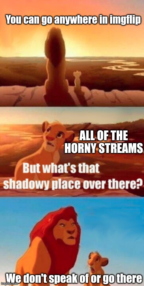 I vote to have all horny streams on imgflip permanently removed | You can go anywhere in imgflip; ALL OF THE HORNY STREAMS; We don't speak of or go there | image tagged in memes,simba shadowy place,go to horny jail | made w/ Imgflip meme maker