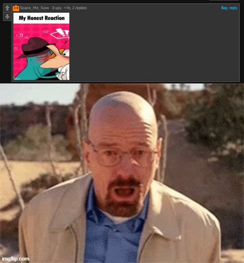 image tagged in walter white | made w/ Imgflip meme maker