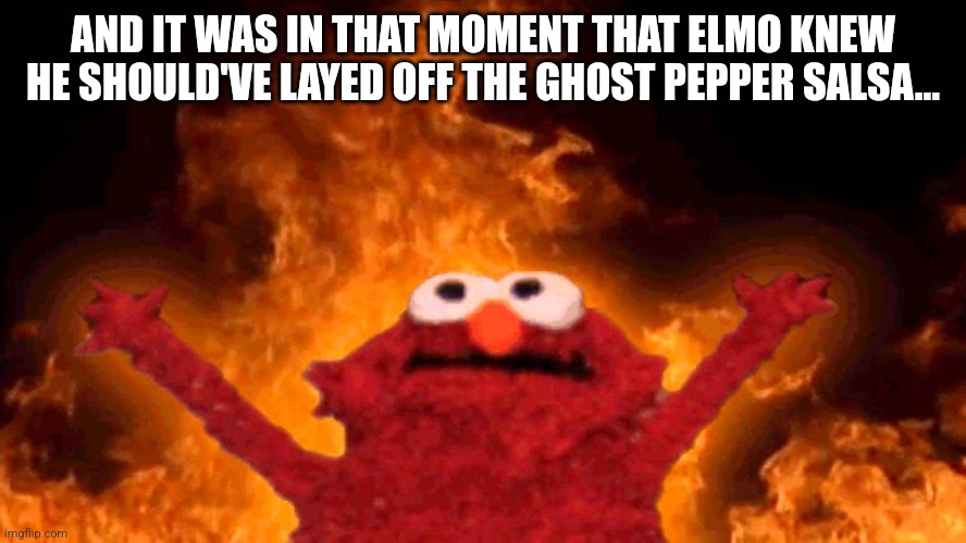 elmo fire | AND IT WAS IN THAT MOMENT THAT ELMO KNEW HE SHOULD'VE LAYED OFF THE GHOST PEPPER SALSA... | image tagged in elmo fire | made w/ Imgflip meme maker