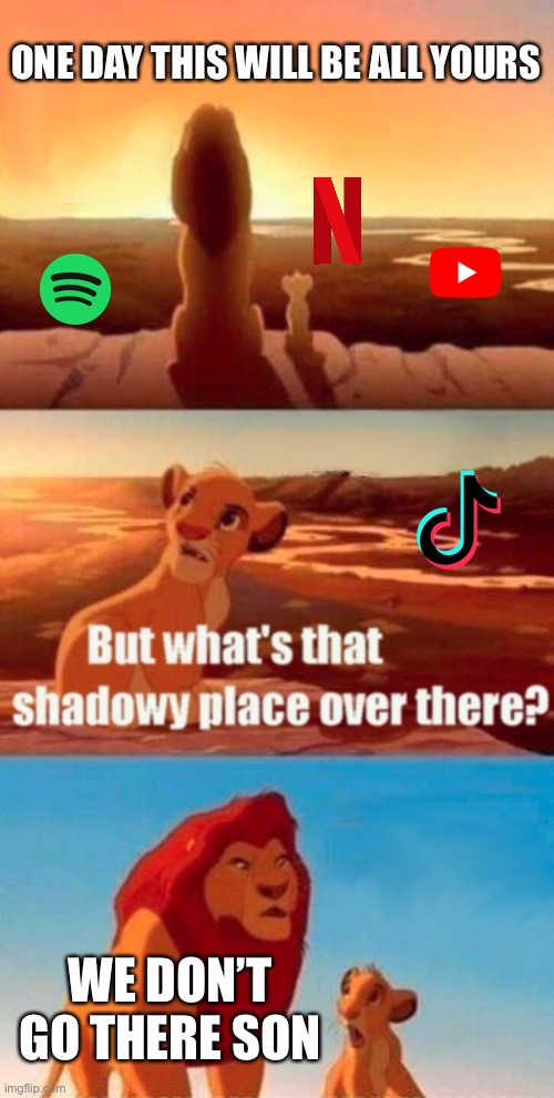 Simba Shadowy Place | ONE DAY THIS WILL BE ALL YOURS; WE DON’T GO THERE SON | image tagged in memes,simba shadowy place | made w/ Imgflip meme maker