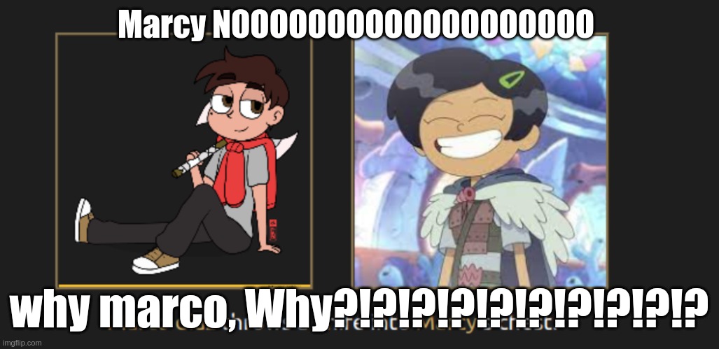 Marcy NOOOOOOOOOOOOOOOOOOO; why marco, Why?!?!?!?!?!?!?!?!?!? | image tagged in certified bruh moment,but why why would you do that,ironic,very sad | made w/ Imgflip meme maker