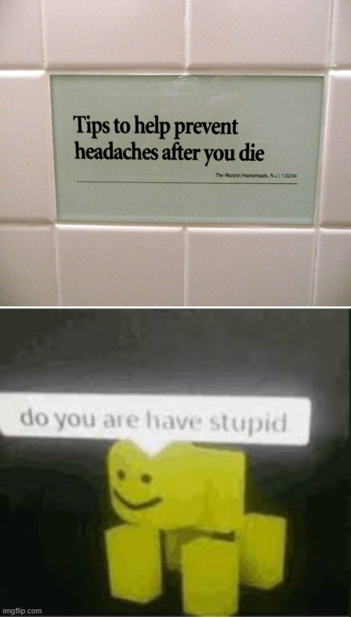 typo | image tagged in do you are have stupid | made w/ Imgflip meme maker