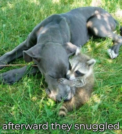 afterward they snuggled | made w/ Imgflip meme maker