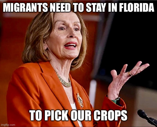 A liberal’s compassion | MIGRANTS NEED TO STAY IN FLORIDA; TO PICK OUR CROPS | image tagged in nancy pelosi,pelosi,illegal immigration,florida | made w/ Imgflip meme maker